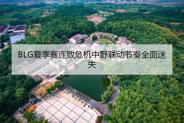 BLG夏季赛连败危机中野联动节奏全面迷失