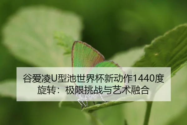 gu-ai-ling-xing-chi-shi-jie-bei-xin-dong-zuo-du-xuan-zhuan-ji-xian-tiao-zhan-yu-yi-shu-rong-he-2-209.jpg