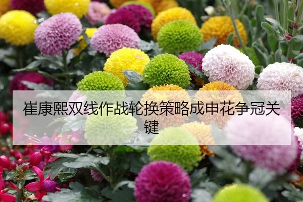cui-kang-xi-shuang-xian-zuo-zhan-lun-huan-ce-lve-cheng-shen-hua-zheng-guan-guan-jian-2-589.jpg