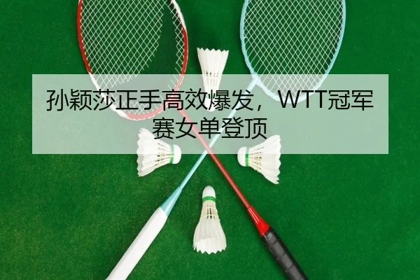 孙颖莎正手高效爆发，WTT冠军赛女单登顶