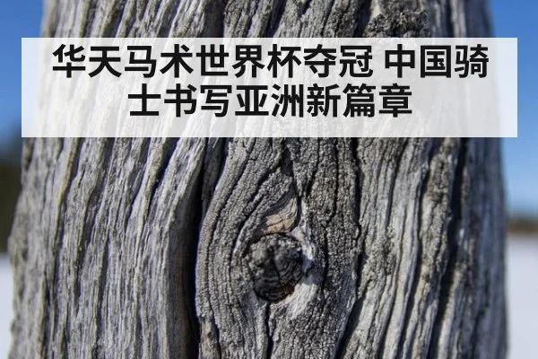 华天马术世界杯夺冠 中国骑士书写亚洲新篇章