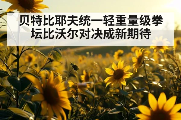 贝特比耶夫统一轻重量级拳坛比沃尔对决成新期待