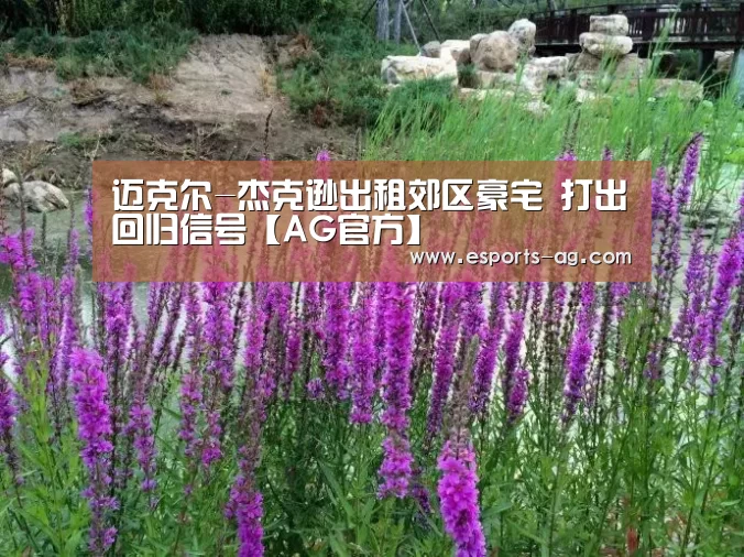 AG官方