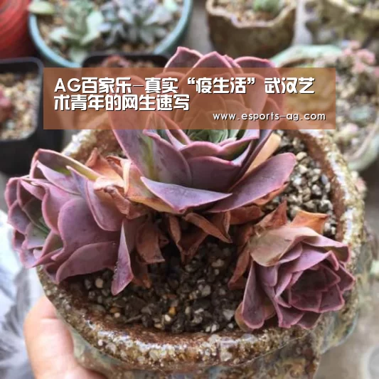 AG百家乐-真实“疫生活”武汉艺术青年的网生速写(图1) AG地址