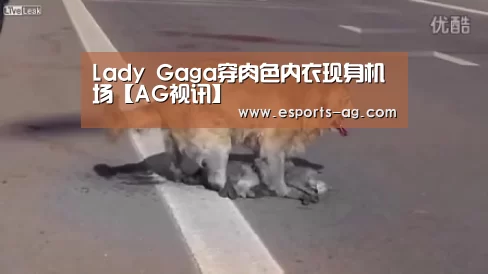 AG视讯
